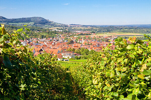 Summer in Beuren