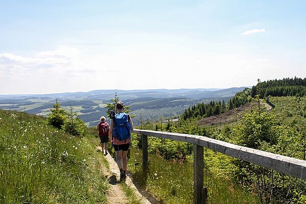 Winterberg in Summer